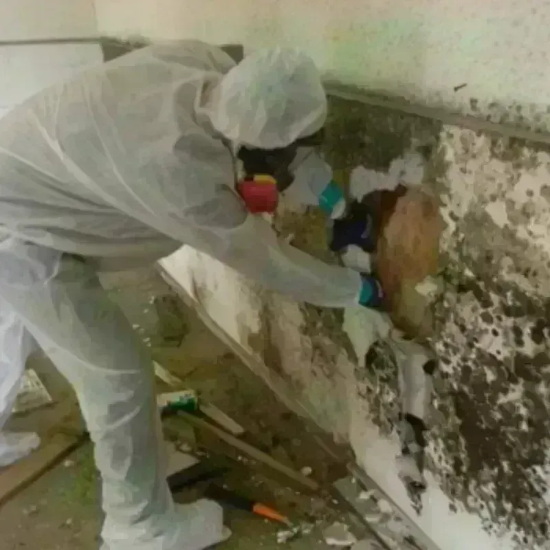 Mold Remediation and Removal in Bethany, OK