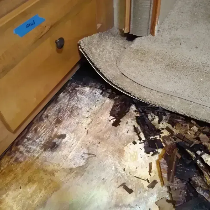 Wood Floor Water Damage in Bethany, OK